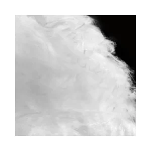 1260 Thermal Insulation Alumina Silicate Wool Cotton 128 Kg m3 Density Ceramic Fiber Bulk for Furnace Refractory
