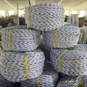High Strength Polypropylene 3mm PP Twisted Rope High Abrasion Resistance for Marine Fishing
