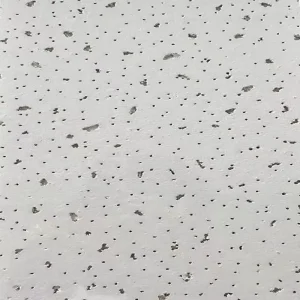 QT1003 Decorative Pre Finished Calcium Silicate Board Smooth Surface Wall Panel Sound Insulation for Hotel Office